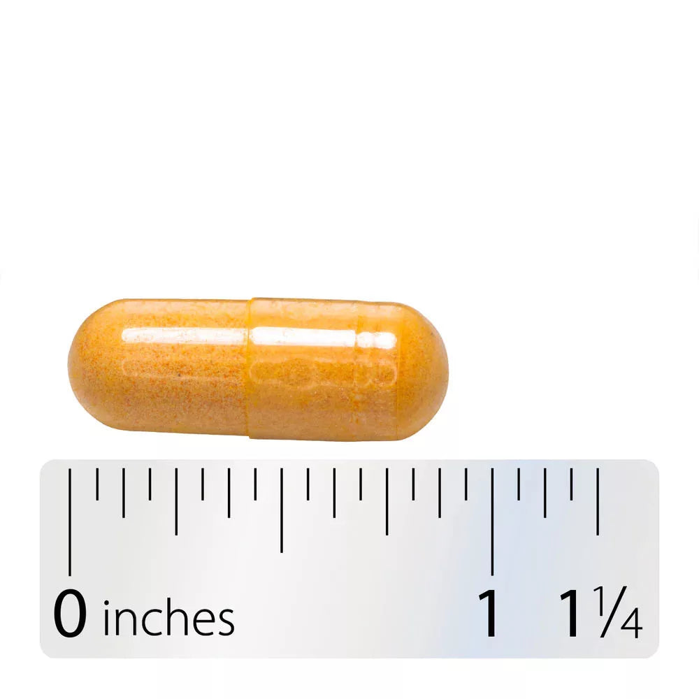 Nature's Way Vitamin B-100 Complex (60 Capsules)