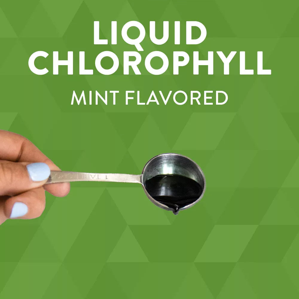 Nature's Way Chlorofresh® Liquid Chlorophyll (480 ml, Mint)