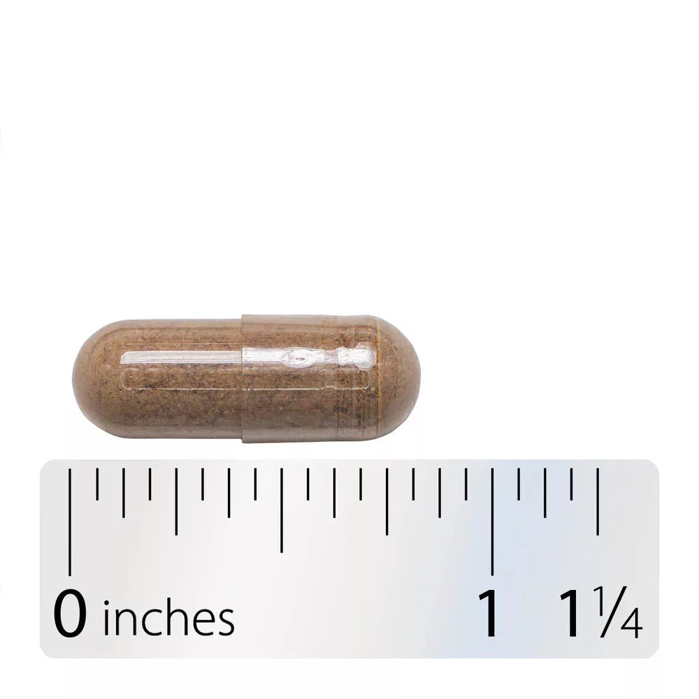 Nature's Way Horse Chestnut (90 Capsules)