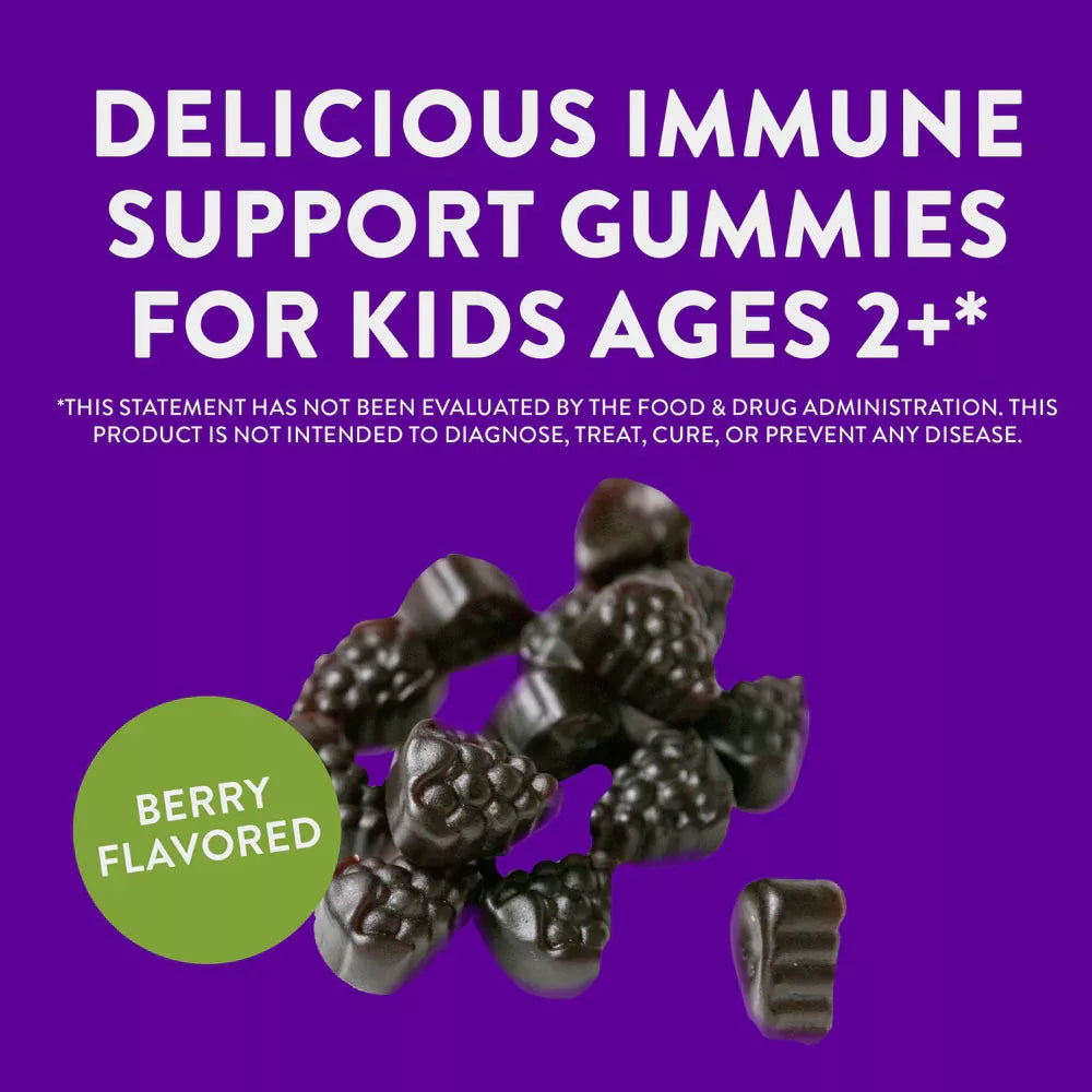 Nature's Way Sambucus Kids Immune Gummies (60 Gummies)