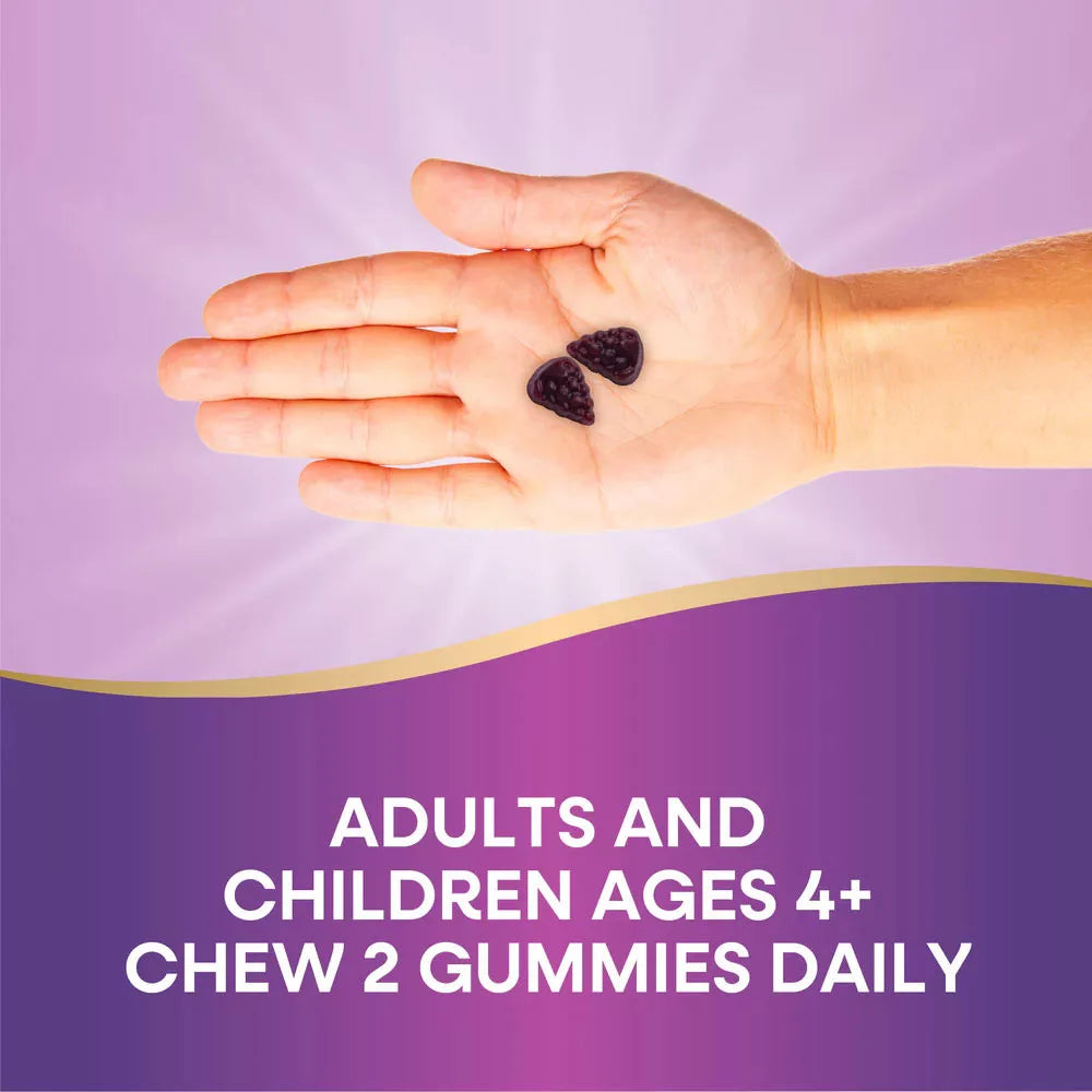 Nature's Way Sambucus Zero Sugar Immune Gummy (50 Gummies)