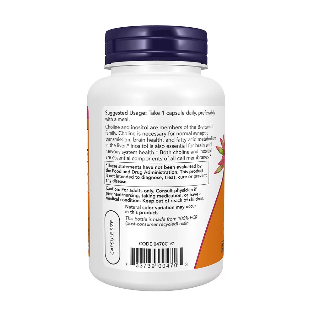 Now Foods Choline & Inositol 500 mg (100 Veg Capsules)