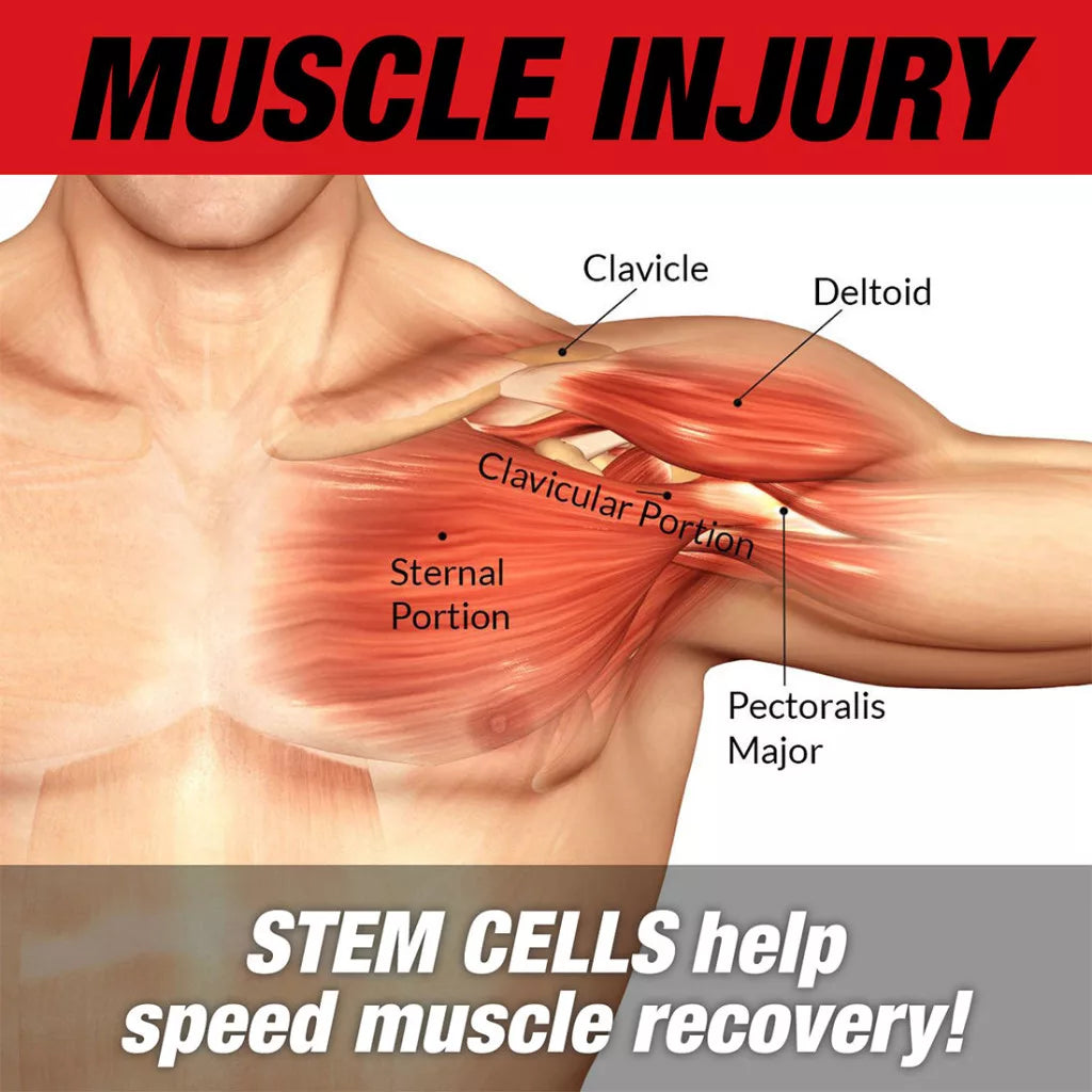 MuscleMeds Stemtropin (60 Caplets)