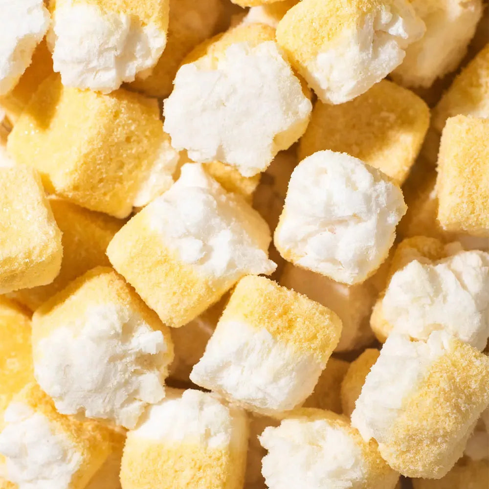Vilgain Freeze-dried Coconut Cubes Mango Sticky Rice (100 g)