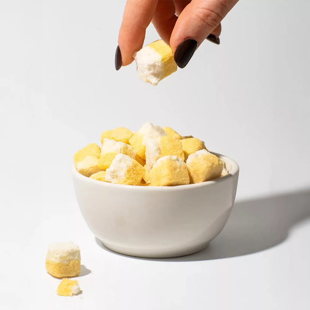 Vilgain Freeze-dried Coconut Cubes Mango Sticky Rice (100 g)