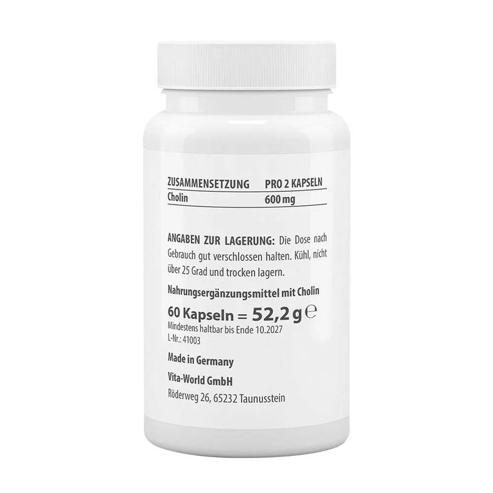 Vitaworld Choline 600 mg (60 Capsules)