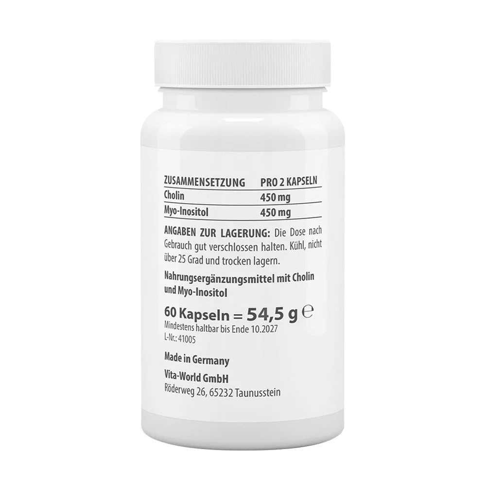 Vitaworld Choline + Inositol 450/450 mg (60 Capsules)