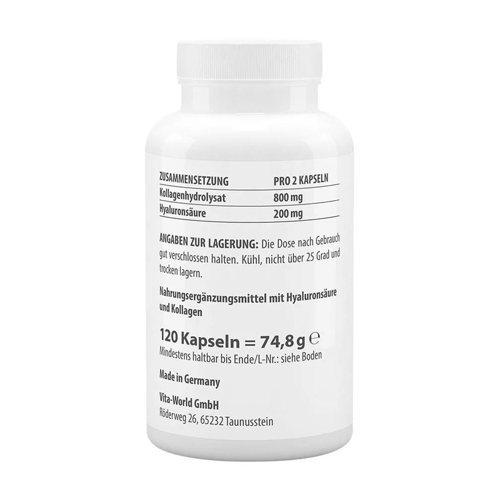 Vitaworld Hyaluronic Acid 100 + Collagen 400 (120 Capsules)
