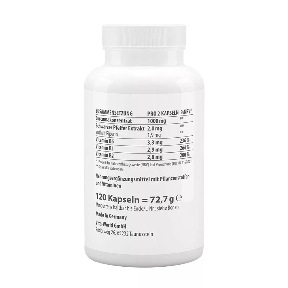 Vitaworld Turmeric 500 mg (120 Capsules)