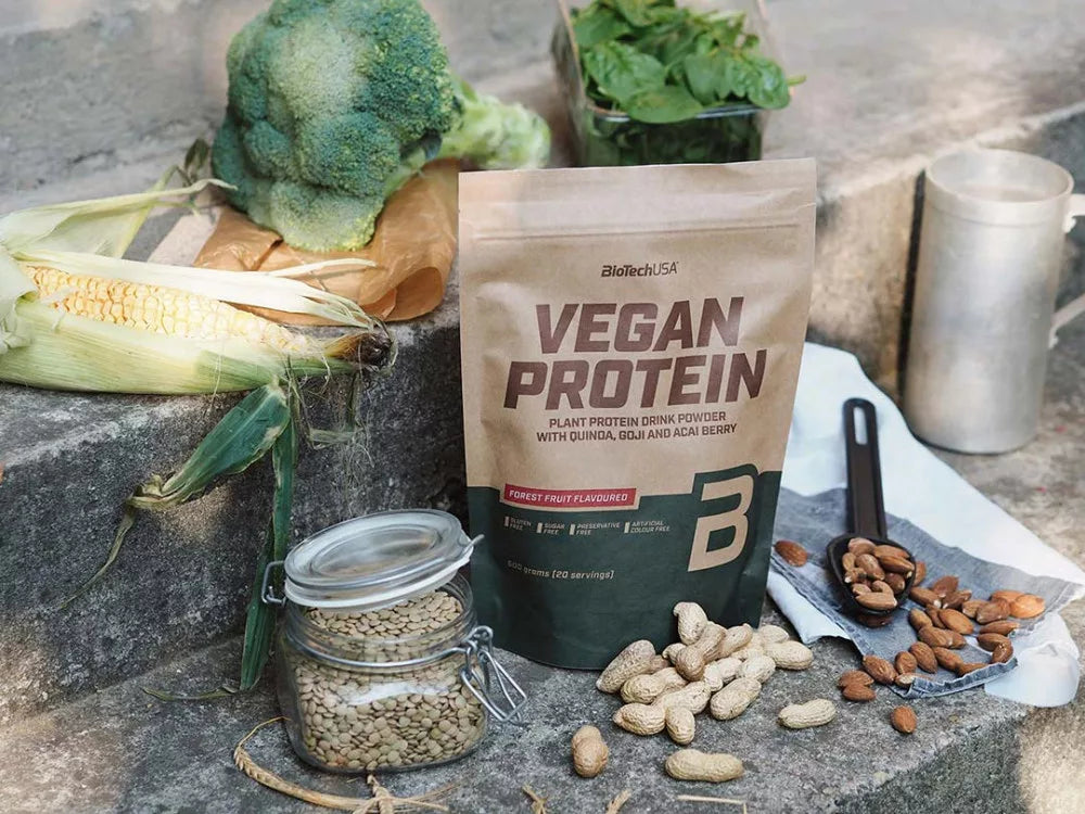 BioTechUSA Vegan Protein (500 g, Hazelnut)
