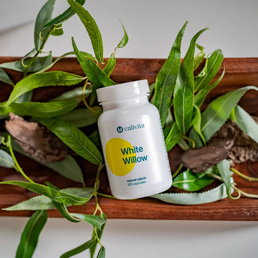 CaliVita White Willow (100 Capsules)
